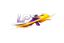 LPX Express Logo